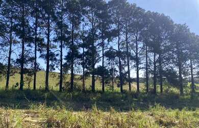 Imagem: O terreno possui 500m² de Área e está localizado em Centro