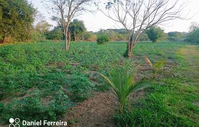 Imagem 9: Sítio ferraz. 18.300m² de Área
