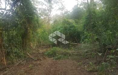 Imagem 14: Sitio em Linha Olinda. 120m² de Área