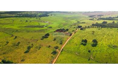 Imagem 12: Fazenda a venda com 86 hectares em Unaí, Minas Gerais