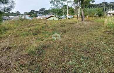 Imagem 10: Terreno com 813m² em Nova Petrópolis