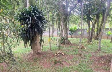 Imagem 16: Chácara à venda, 2700 m² por R$ 1.800.000,00 - Pouso Alegre - Ribeirão...