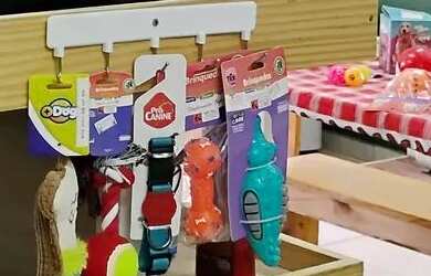 Imagem 9: Vende se Pet Shop bem localizado e com boa clientela no bairro Sion