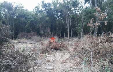 Imagem 16: Terreno à venda, 375 m² por R$ 149.000 - Campina - São Leopoldo/RS