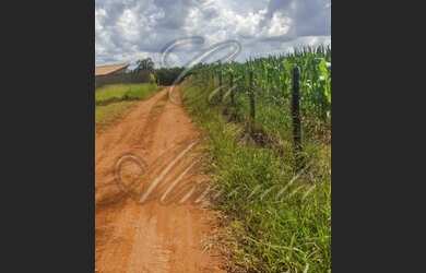 Imagem: O terreno possui 1.170m² de Área e está localizado em Vila