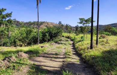 Imagem 16: Fazenda 80 alq. Em trindade 300 mil.p/ alq. Pega 40% aptos Goiânia 24 milhoes