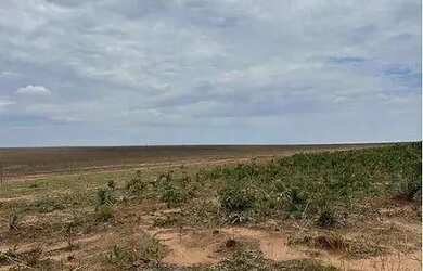 Imagem: A fazenda possui 500m² de Área e está localizado em Tangará