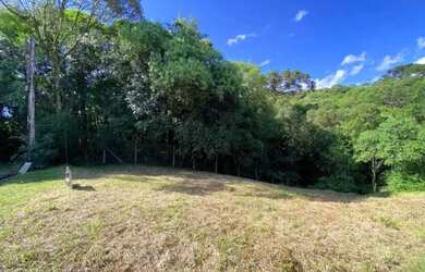 Imagem 6: Terreno - Bairro Avenida Central