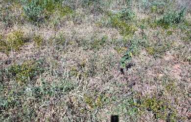 Imagem 5: FAZENDA EM BOA VISTA DO TUPIM - 6000 TAREFAS