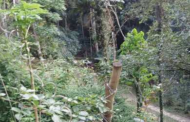 Imagem 3: 10 mil mts nas montanhas com lago 167 mil reais