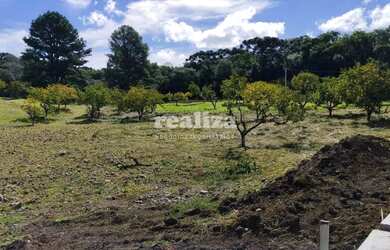 Imagem 3: TERRENO EM GRAMADO. 800m² de Área