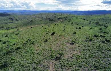 Imagem: A fazenda possui 195m² de Área e está localizado em Grão