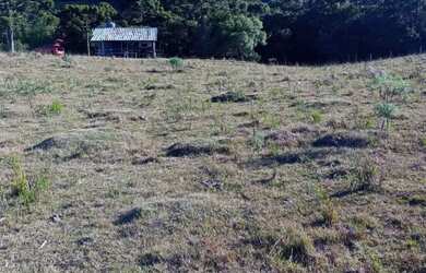 Imagem 9: Chácara em mato queimado 2 km da estrada do Cazuza ferreira