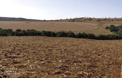 Imagem 2: R$150 Milhões Fazenda de 405 alqueires em Campo Alegre-GO