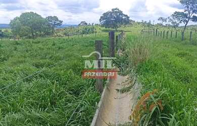 Imagem 2: Fazenda 103 Alqueires 500 Hectares Piracanjuba - GO