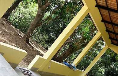 Imagem: A chácara está localizado em Plano Diretor Norte, Palmas à