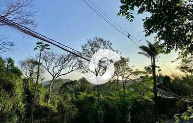 Imagem 14: Terreno à venda, 741 m² por R$ 185.000,00 - Mata Paca - Niterói/RJ