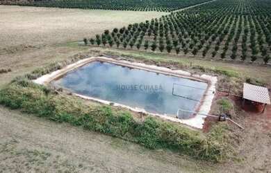 Imagem 12: fazenda de 158,33 hectares na região da cidade de Votuporanga