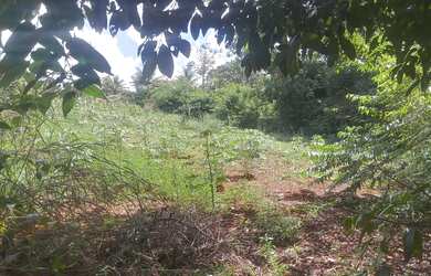 Imagem: A chácara possui 5.000m² de Área e está localizado em Jardim