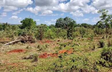 Imagem: A fazenda possui 20.000m² de Área e está localizado em Paraopeba