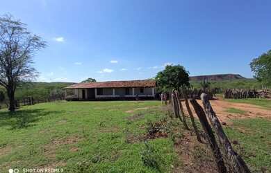 Imagem 2: Vendo Fazenda R$3.180 /ha frente BR135 Monte Alegre Piauí, Pecuária 2.675 HA