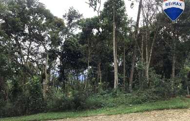 Imagem 4: Terreno à venda, 2100 m² por R$ 350.000,00 - Nova Califórnia - Juiz...