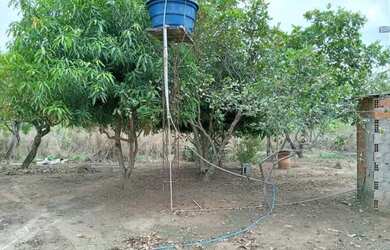 Imagem 3: Vendo fazenda. 