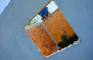 Imagem 6: Vendo lindo terreno todo murado de tijolo de bloco com frutas e com pequena...