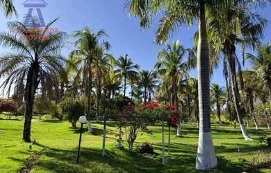 Imagem 10: Imóvel Rural com estrutura completa - 15 km de Montes Claros