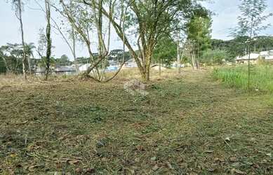 Imagem 9: Terreno com 813m² em Nova Petrópolis