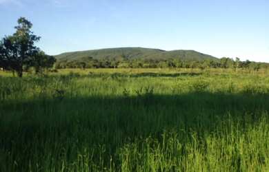 Imagem 10: Oportunidade Fazenda pecuária de 1.186 hectares com aptidão para Usina...