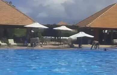 Imagem: O apartamento possui 3 Dormitórios, 2 Banheiros e 114m² de