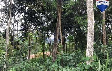 Imagem 9: Terreno à venda, 2100 m² por R$ 350.000,00 - Nova Califórnia - Juiz...