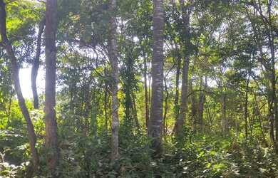 Imagem: A chácara está localizado em Buritis, MG à venda por R$1.500.000