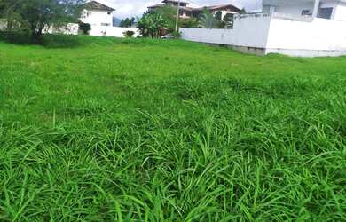 Imagem 2: Terreno de 533m2 em Ilha de Guaratiba - Rio de Janeiro - RJ