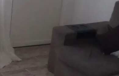 Imagem: O apartamento possui 2 Dormitórios, 1 Banheiro e está localizado