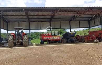 Imagem 4: Fazenda 103 Alqueires 500 Hectares Piracanjuba - GO