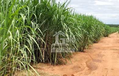 Imagem: A fazenda possui 4.525.400m² de Área e está localizado em