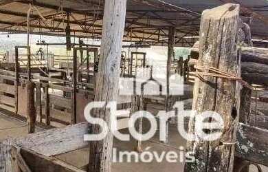 Imagem 12: Fazenda à venda com 135 hectares 28 alqueires por R$ 4.480.000 - 31km...