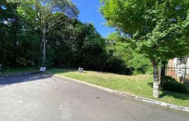 Imagem 5: Terreno - Bairro Avenida Central