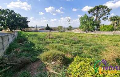 Imagem 10: TERRENO - VILA SANTISTA - SP