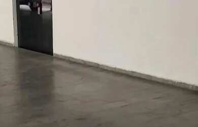 Imagem 9: Apartamento para Locação em Santos, Boqueirão, 2 dormitórios, 1 banheiro,...