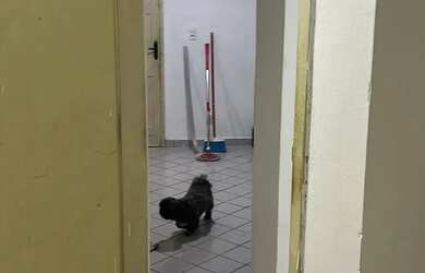 Imagem 9: Apartamento conj Zé Tenorio tério Bl 84