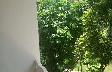 Imagem 5: Village ecológico situado em rua de acesso local, segurança e sossego