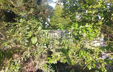 Imagem 6: Campo Grande Terreno / lote com venda por R$3.500.000