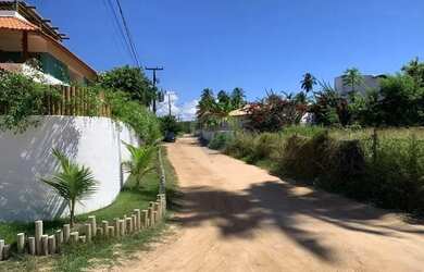 Imagem 2: Terreno incrível em Tatuamunha - Ótimo investimento