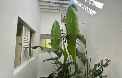 Imagem 9: Casa Grande e Espaçosa em Itamaracá