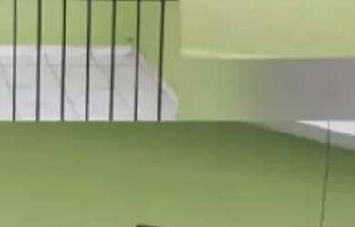 Imagem: Asa térrea para venda com 2 quartos em Nossa Senhora do Ó