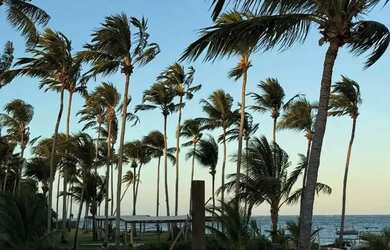 Imagem 2: Lote à venda no KAAK , PRAIA MARCENEIRO, Passo de Camaragibe, AL