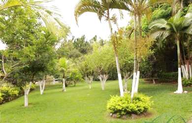 Imagem: O terreno possui 24.200m² de Área e está localizado em Porto